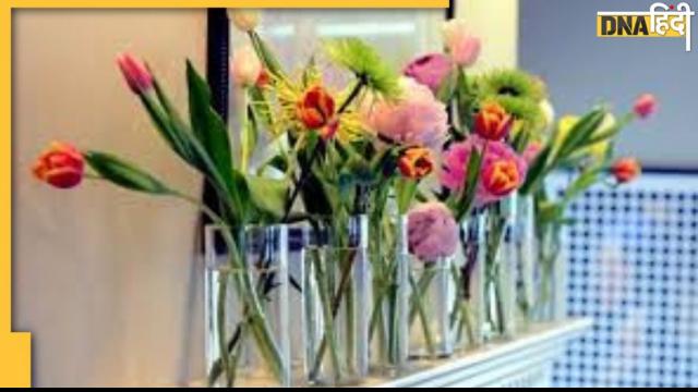 Edible Flowers: सजावट ही नहीं, हेल्थ के लिए भी ये फूल हैं फायदेंमंद