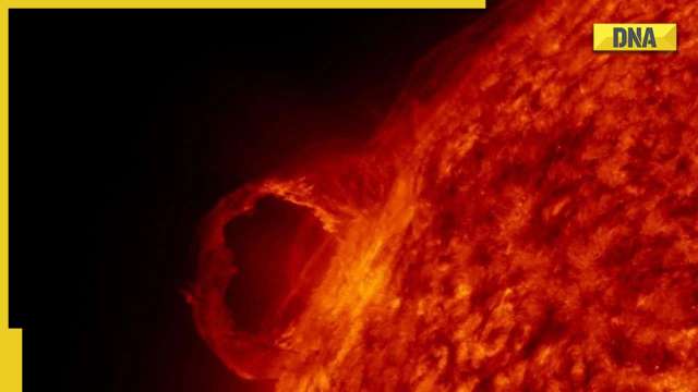 Giant sunspot, triple the size of Earth, creates solar flare scare: How dangerous is it? - Vimarsana News