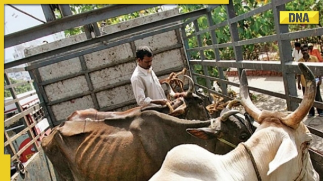 Karnataka: Dalit man forced to eat cow dung by upper-caste group, case ...