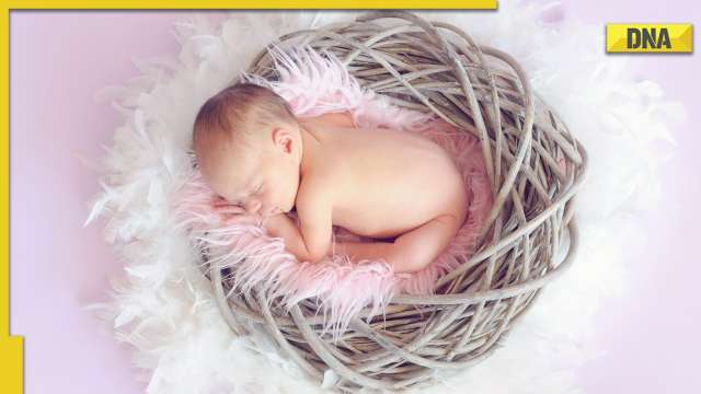Air pollution causing brain development problems in newborn babies, says study - Vimarsana News