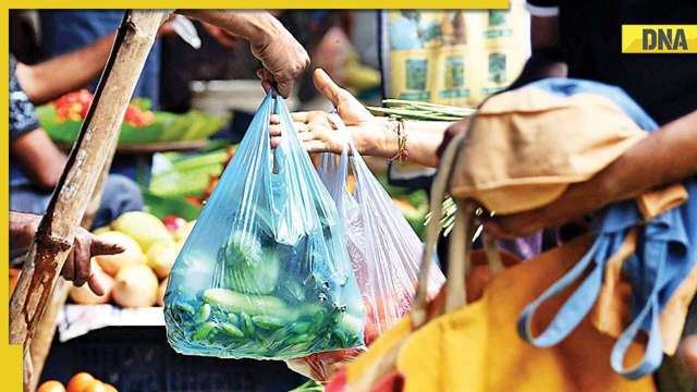 Markets in Delhi brace for single-use plastic ban with posters, awareness campaigns - Vimarsana News