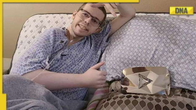 YouTuber Technoblade dies at 23: Know who the Minecraft streamer was, his battle with cancer - Vimarsana News