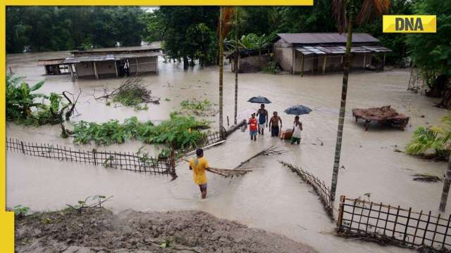 Assam floods: More than 200 families in Barpeta district rendered homeless - Vimarsana News