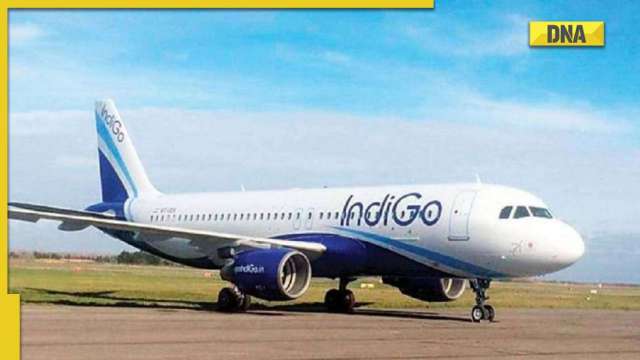 55 percent IndiGo domestic flights get delayed: What caused disruption in airline's operations? - Vimarsana News