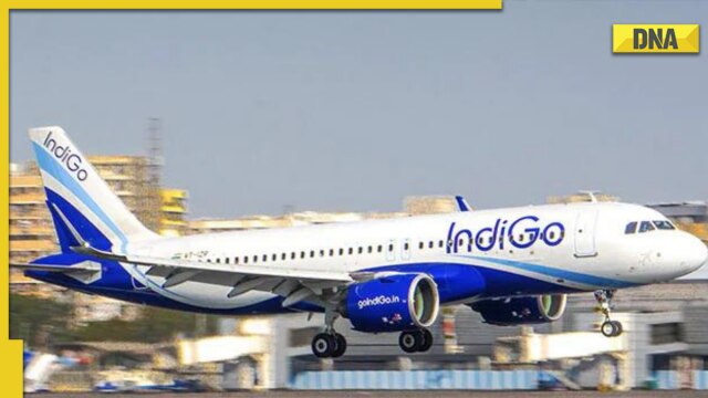 DGCA seeks explanation from IndiGo as crew call sick on AI recruitment day - Vimarsana News