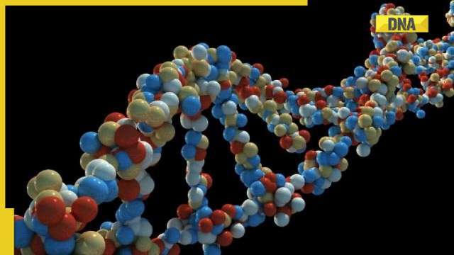 IIT Madras develops personalised cancer diagnosis tool PIVOT, know how it works - Vimarsana News