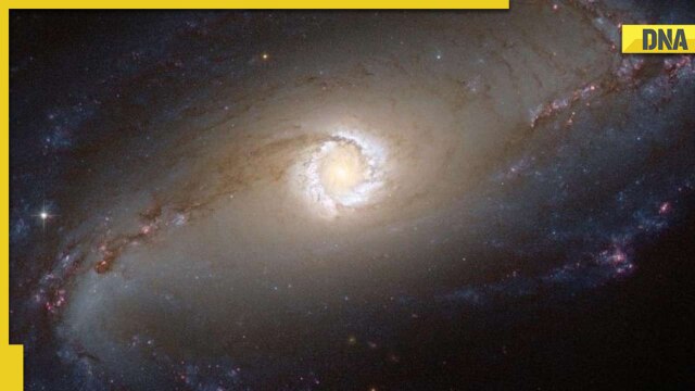 Fastest star takes four years to travel around the black hole at the centre of our galaxy, says study - Vimarsana News
