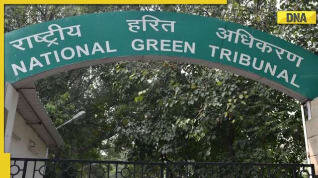 NGT halts construction of Noida housing complex over norms violation - Vimarsana News