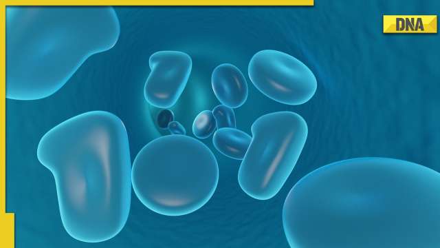 Medical breakthrough! Drug developed by gene editing could cure HIV-AIDS - Vimarsana News
