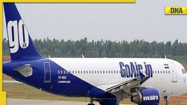 Furry surprise in airport: Stray dog on runway interrupts takeoff of Leh-Delhi GoAir flight, DGCA says this - Vimarsana News