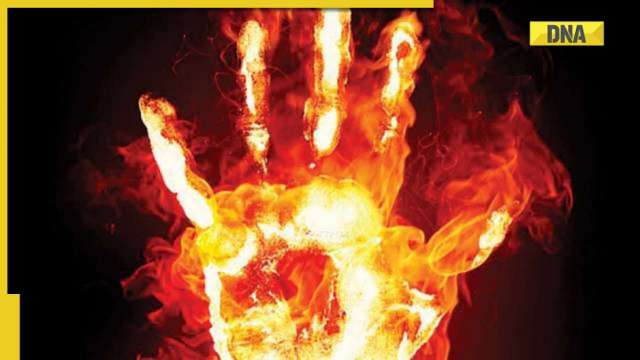 Sadhu sets himself on fire amid protest over stone mining in Rajasthan's Deeg - Vimarsana News