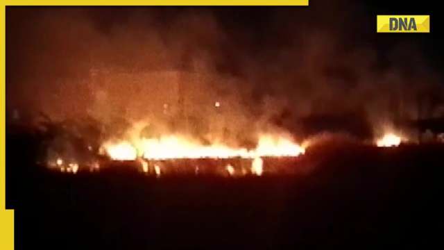 Fire breaks out in Kandi forest area in West Bengal's Murshidabad district - Vimarsana News
