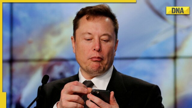 Elon Musk denies affair with Google co-founder's wife, seeks help of 'notorious Tesla owners' - Vimarsana News