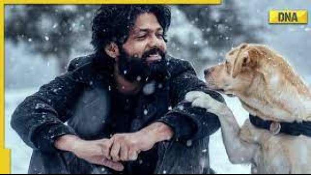 777 Charlie OTT release: When and where to watch Rakshit Shetty's film - Vimarsana News