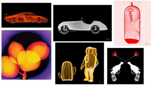 Karmaditya Baldota's X-ray art exhibition is on show at Nehru Art Center Gallery - Vimarsana News