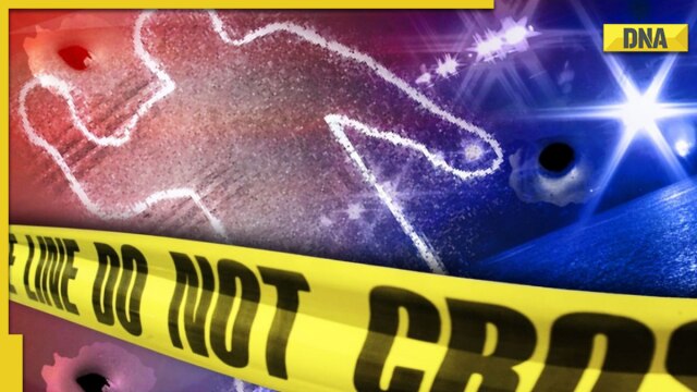 Minor Girl Beheads 9 year old Niece With Sword Later Attacks Father 