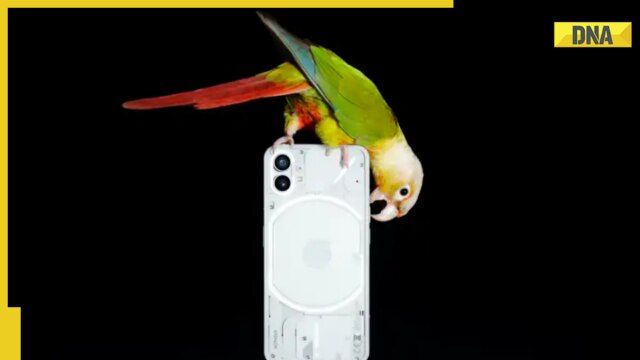 Nothing Phone (1) goes on sale in India again via Flipkart - Vimarsana News