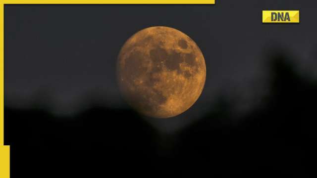 August Sturgeon Moon: Know date, time, other details about the last supermoon of 2022 - Vimarsana News