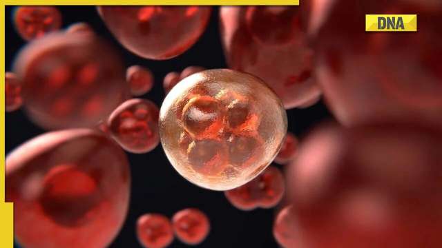 Why men face higher risk of most cancers than women? Here's what study reveals - Vimarsana News