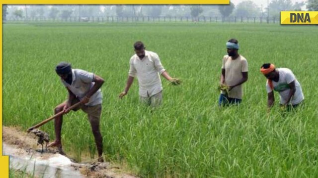 PM Kisan Yojana: Last date to update KYC online or offline extended, know steps - Vimarsana News