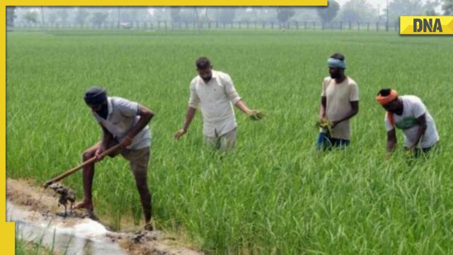 PM Kisan Yojana update: 12th installment date released, know how to update application - Vimarsana News
