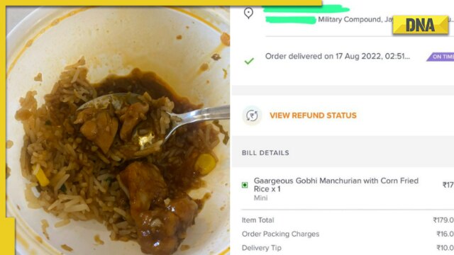 Netizens share mixed responses after actor spots chicken in vegetarian food ordered via Swiggy - Vimarsana News