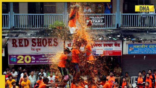 Maharashtra celebrates Janmashtami with great zeal, 24 govindas injured during 'dahi-handi' in Mumbai - Vimarsana News