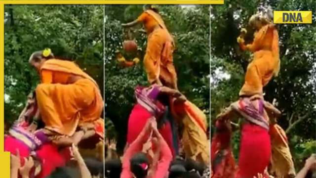 Janmashtami 2022: Elderly woman participates in Dahi Handi in viral clip, Sena's Priyanka Chaturvedi tweets video - Vimarsana News