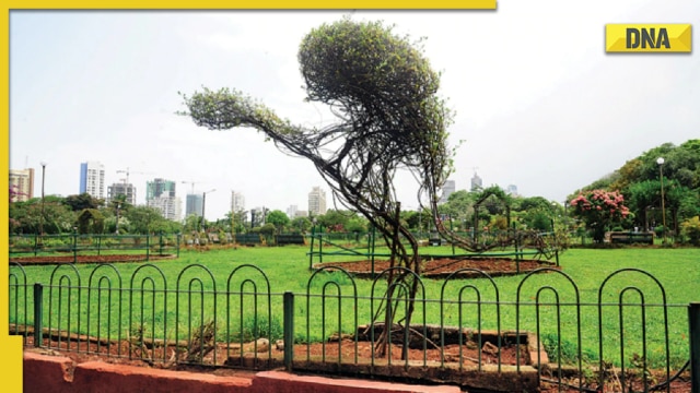 'Couples not allowed' board in Pune Garden sparks row; PMC cites it disturbs bird watching - Vimarsana News