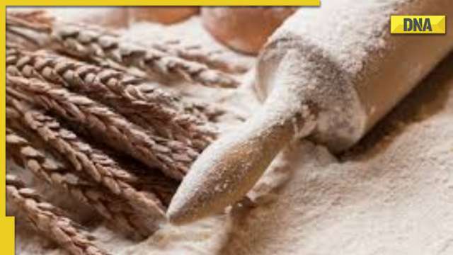 India bans export of maida, suji, wholemeal aata and other related products - Vimarsana News