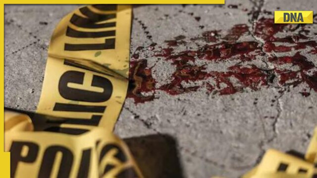 'Serial killer' on spree in Madhya Pradesh, smashes heads of sleeping security guards in Sagar - Vimarsana News