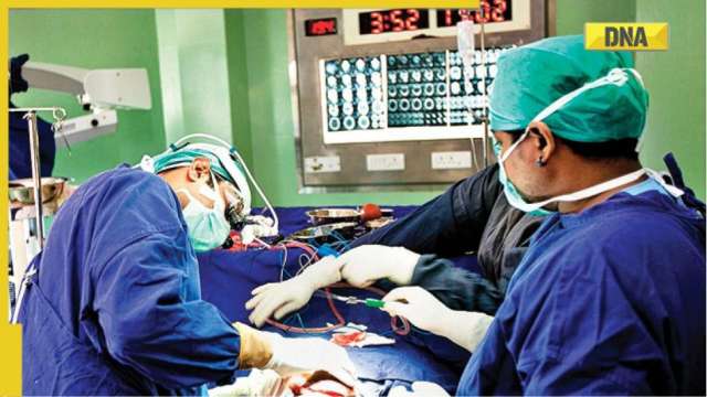 Medical marvel! Researchers discover new technology to gain in-depth knowledge of tumors - Vimarsana News