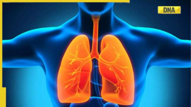 THIS innovative technique may boost number of successful lung transplants: Research - Vimarsana News