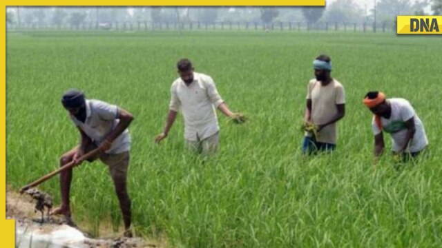 PM Kisan Samman Nidhi Yojana's 12th installment releasing soon: how to check eligibility and beneficiary status - Vimarsana News