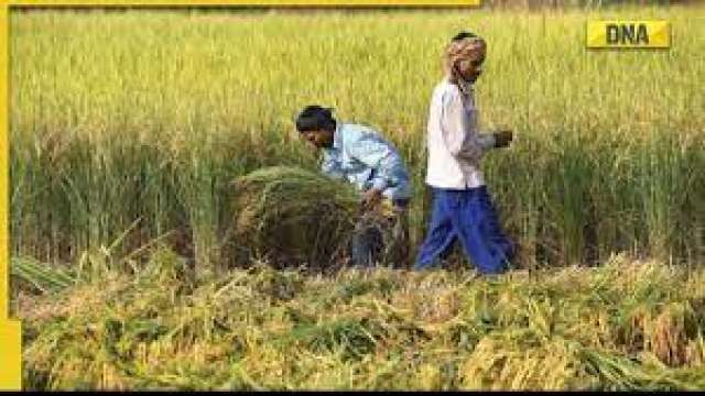 PM Kisan Samman Nidhi Yojana 12th installment may be delayed, here's why - Vimarsana News