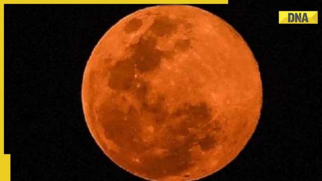 What is Harvest Moon 2022: Know timings, significance, meaning - Vimarsana News