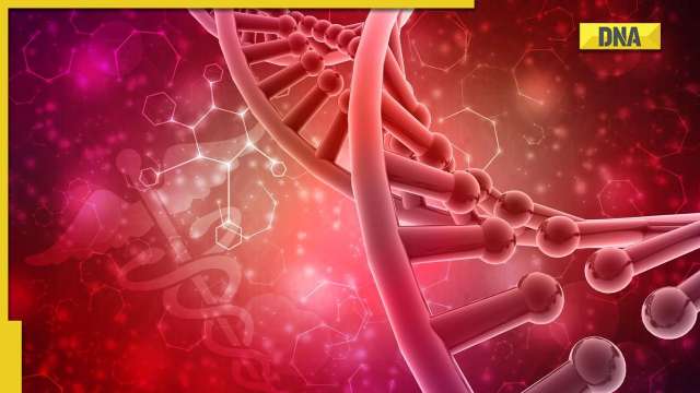 Hormones: Here's how your hormones work