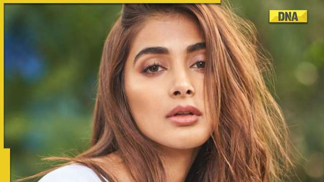 Pooja Hegde says 'we need to support the industry' ahead of her two major releases Kisi Ka Bhai Kisi Ki Jaan, Cirkus - Vimarsana News