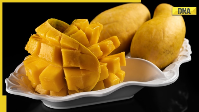 Can diabetes patients eat mango? Here's what the expert says - Vimarsana News