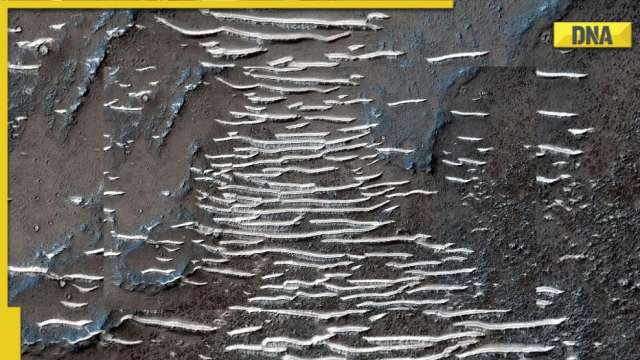 Mysterious 'ice ladders' seen on Mars: Does this confirm presence of water on the red planet? - Vimarsana News