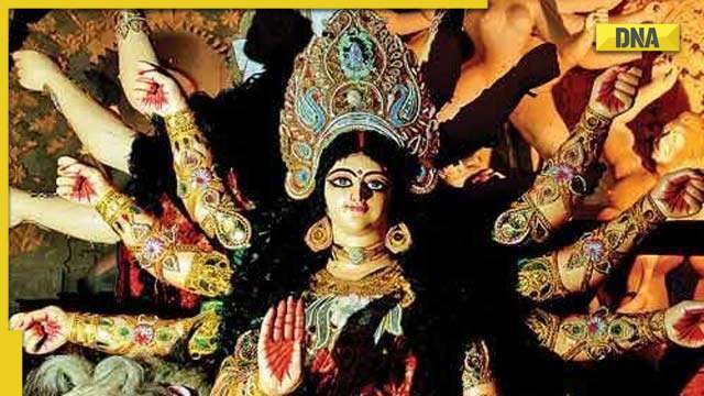 Durga Puja 2022: Devotees offer prayers to Maa Durga on first day of Navratri - Vimarsana News