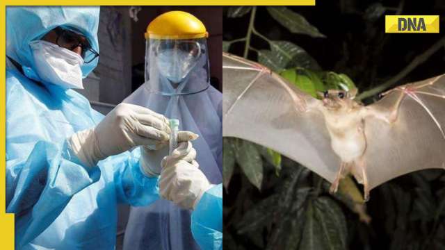 Khosta-2, new COVID-like virus found that could infect humans: Here's what you should know - Vimarsana News