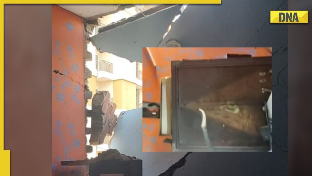 LCD TV blast kills 16-year-old in UP: What causes a TV to explode - Vimarsana News