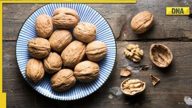 What are the health benefits of walnuts? Know ideal portion to consume to stay healthy - Vimarsana News