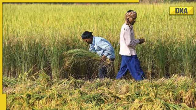 PM Kisan Yojana 12th installment: Step-by-step guide to check name in the list - Vimarsana News