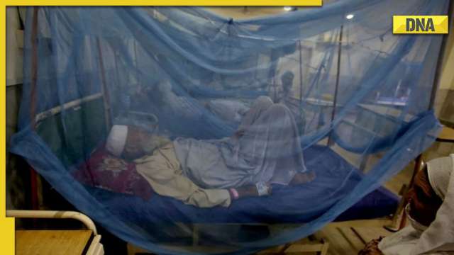 Pakistan to purchase over 6 million mosquito nets from India to contain malaria: Report - Vimarsana News