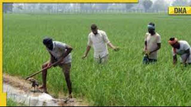 PM Kisan Yojana 12th installment: Farmers to get Rs 2,000 before Diwali on this date - Vimarsana News