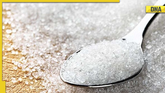 Sugar export policy for next season to be announced by Government soon, here's what to expect - Vimarsana News