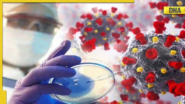 What are fungal infections and how can they be fatal? Know why WHO deemed them deadly - Vimarsana News