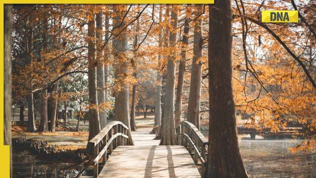 5 benefits of spending more time in the midst of nature - Vimarsana News